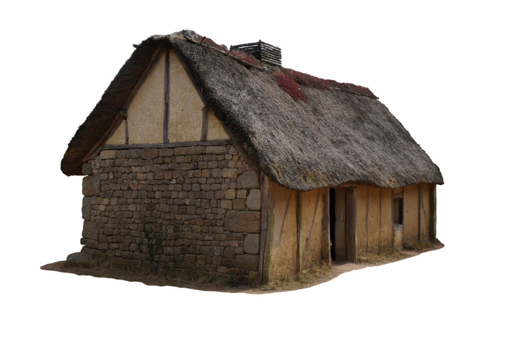 Thatched Roof